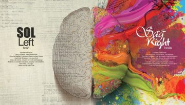 left-right-brain-