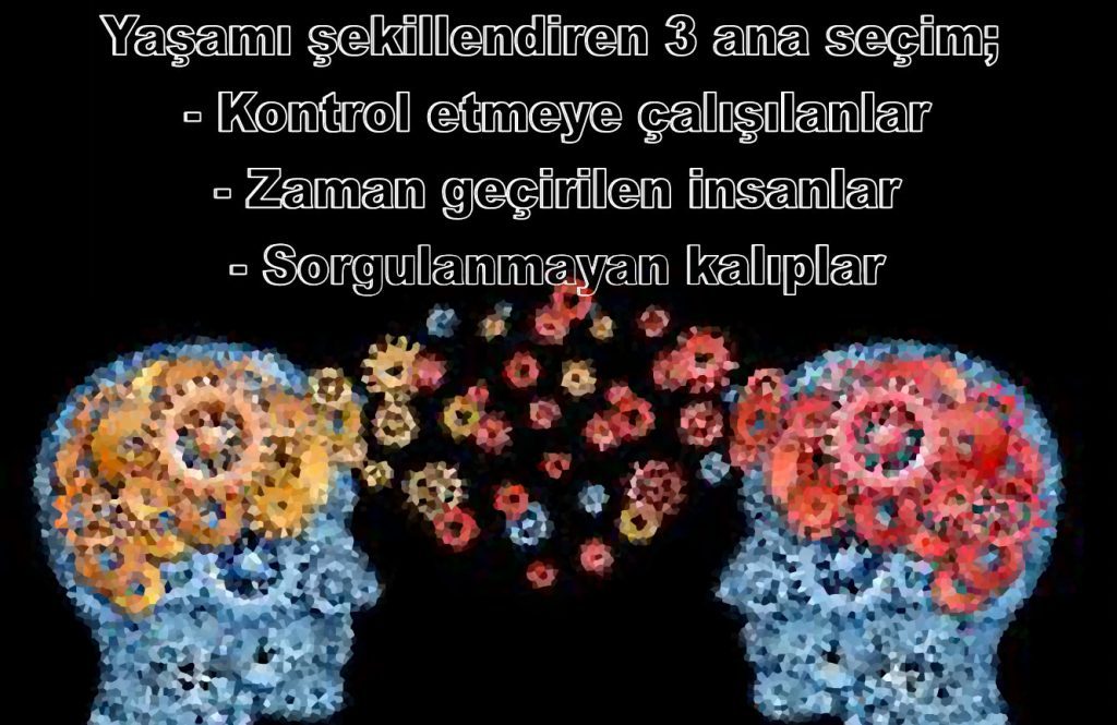 3 Temel Seçim 1 secim1
