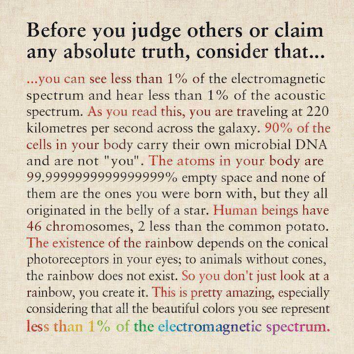before you judge