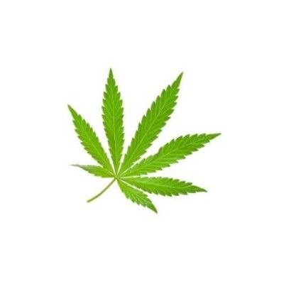 Kenevir – Cannabis